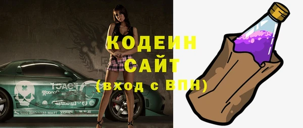 крисы Корсаков