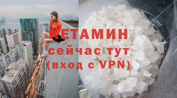 крисы Корсаков