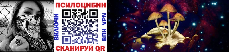 Купить закладки  Зеленогорск  Псилоцибиновые грибы Psilocybe 